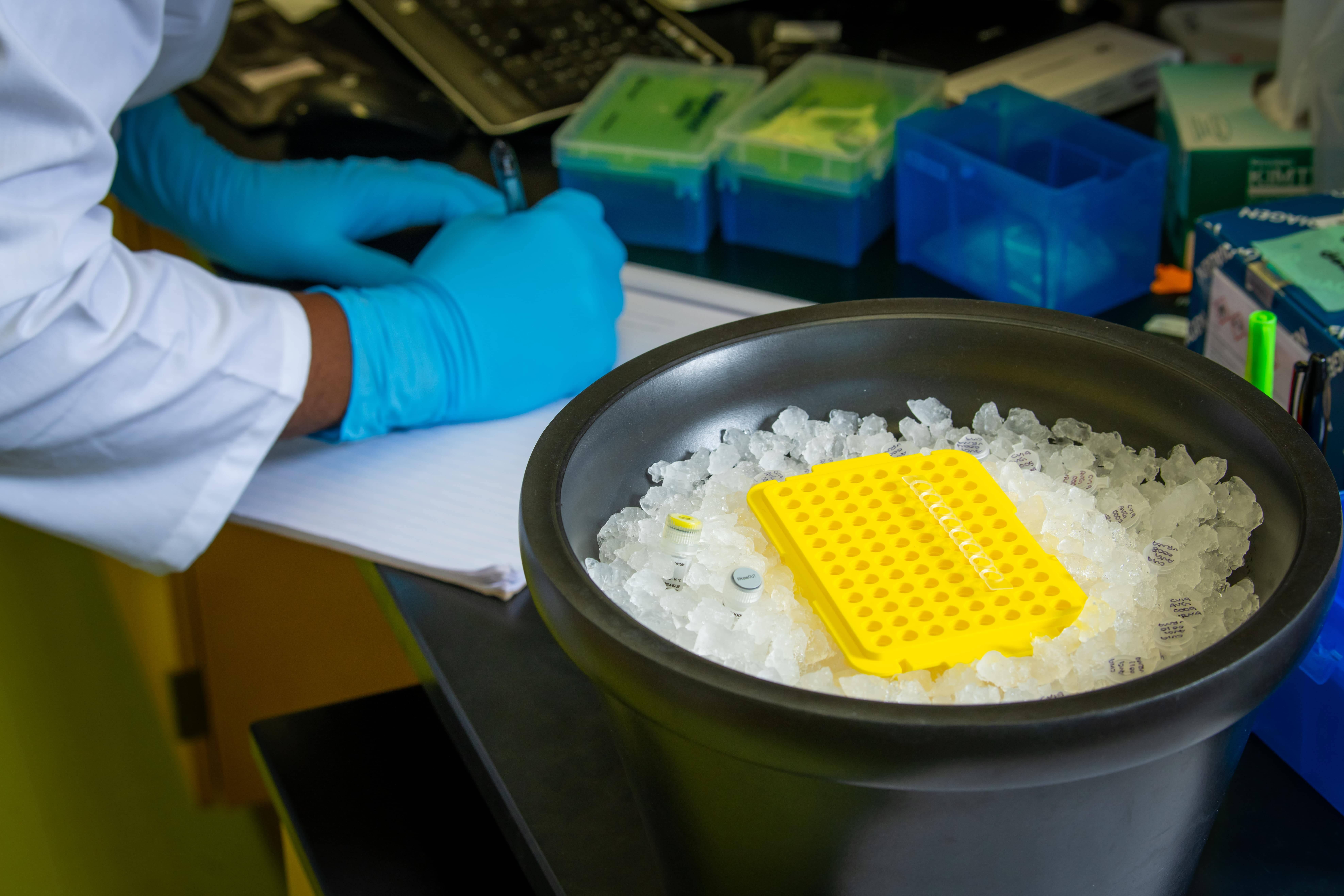 Department of Biological Sciences University of Alaska Anchorage